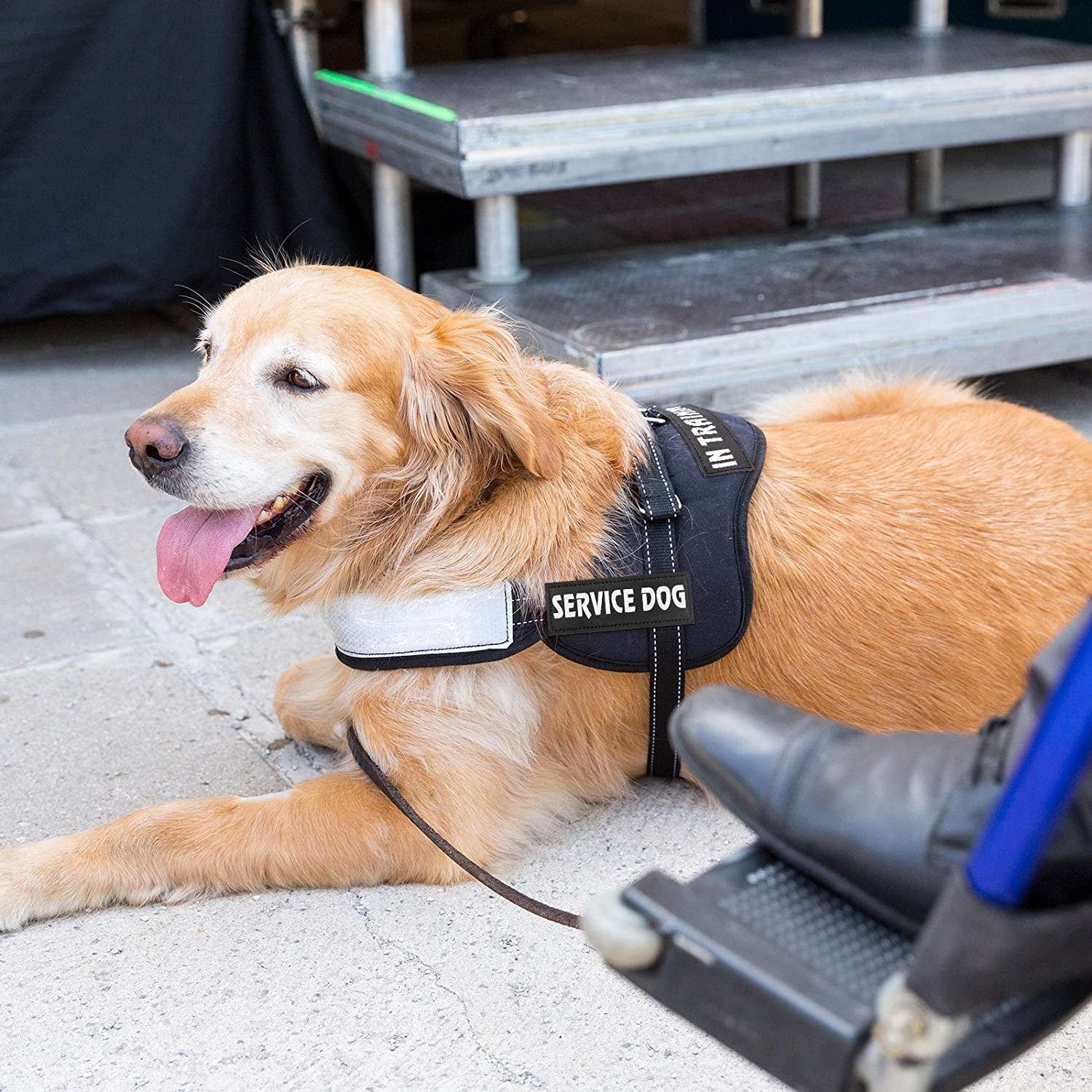 8 Pieces Reflective Service Dog Vest Patches Do Not Pet in Training Harness Removable Tactical Dog Vest Patches with Printed Paw(Classic Patterns,6 X 2 Inch)