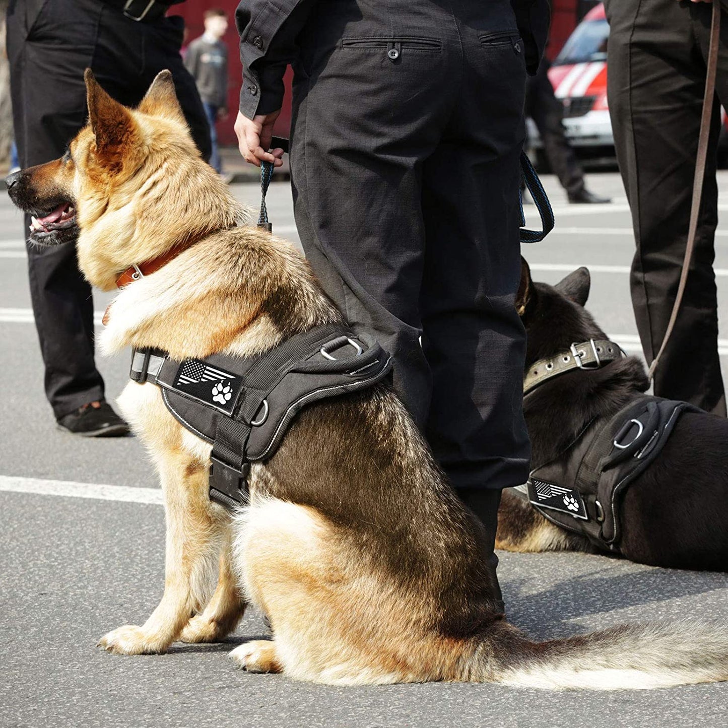 8 Pieces Reflective Service Dog Vest Patches Do Not Pet in Training Harness Removable Tactical Dog Vest Patches with Printed Paw(Classic Patterns,6 X 2 Inch)