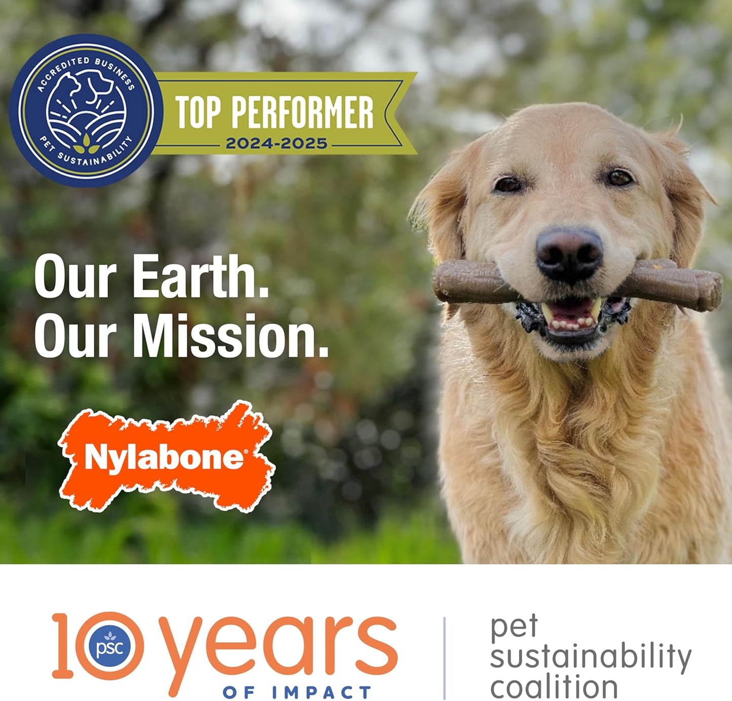 Double Action Bone Power Chew Toy for Dogs, Dog Toys for Aggressive Chewers, Bacon Flavor, X-Large - 50+ Lbs, 1 Count