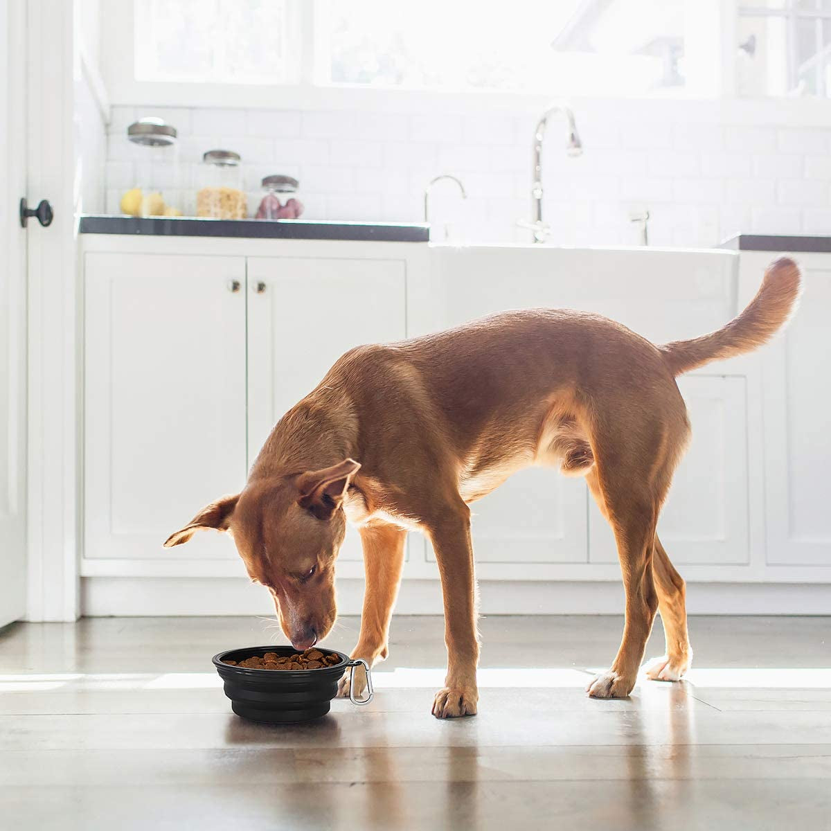 Large Collapsible Dog Bowls 2 Pack, 34Oz Foldable Dog Travel Bowl, Portable Pet Water Food Bowl with Clasp, Pet Cat Feeding Cup Dish for Traveling, Walking, Hiking (Black+Balck)