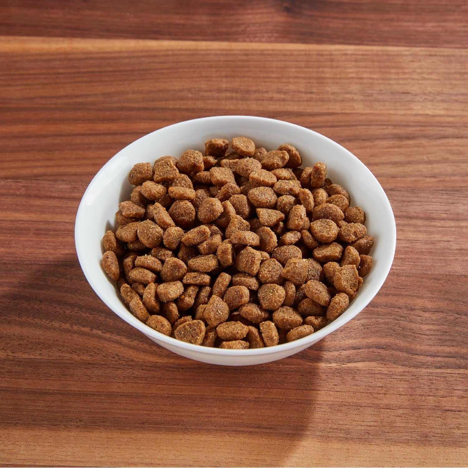 Proactive Health Adult Healthy Dry Cat Food with Chicken, 7 Lb. Bag