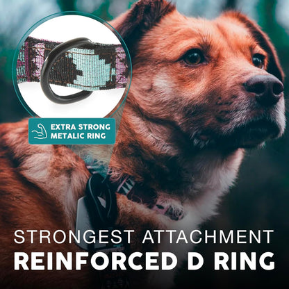 Embark Adventure Dog Collar – Stylish & Durable Nylon Dog Collars for Small Dogs, Comfortable Pet Collar, Small Dog Collars for Male & Female Dogs with Strong Buckles. Adjustable Small Dog Collars