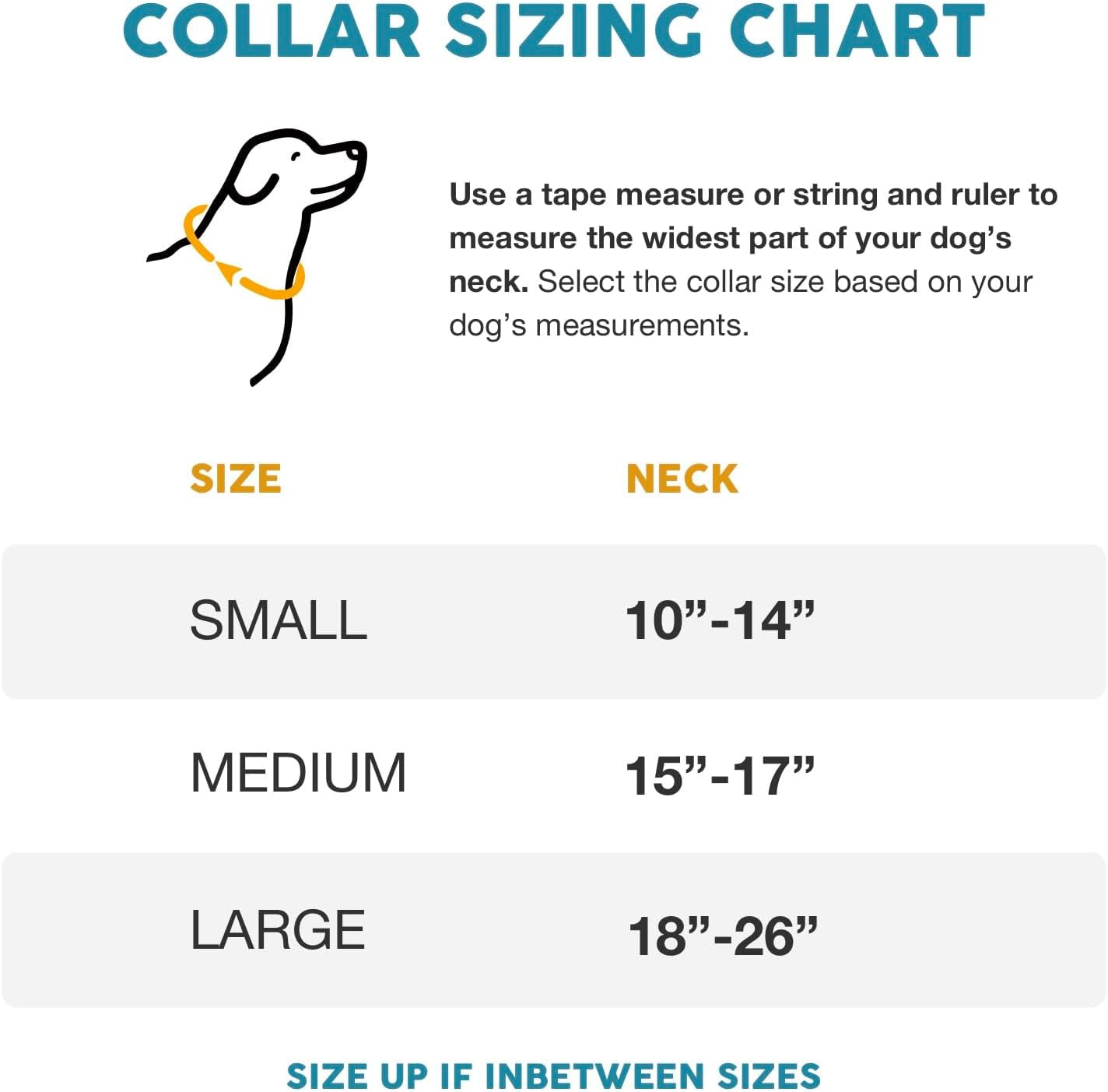 Embark Adventure Dog Collar – Stylish & Durable Nylon Dog Collars for Small Dogs, Comfortable Pet Collar, Small Dog Collars for Male & Female Dogs with Strong Buckles. Adjustable Small Dog Collars